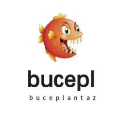 buceplan